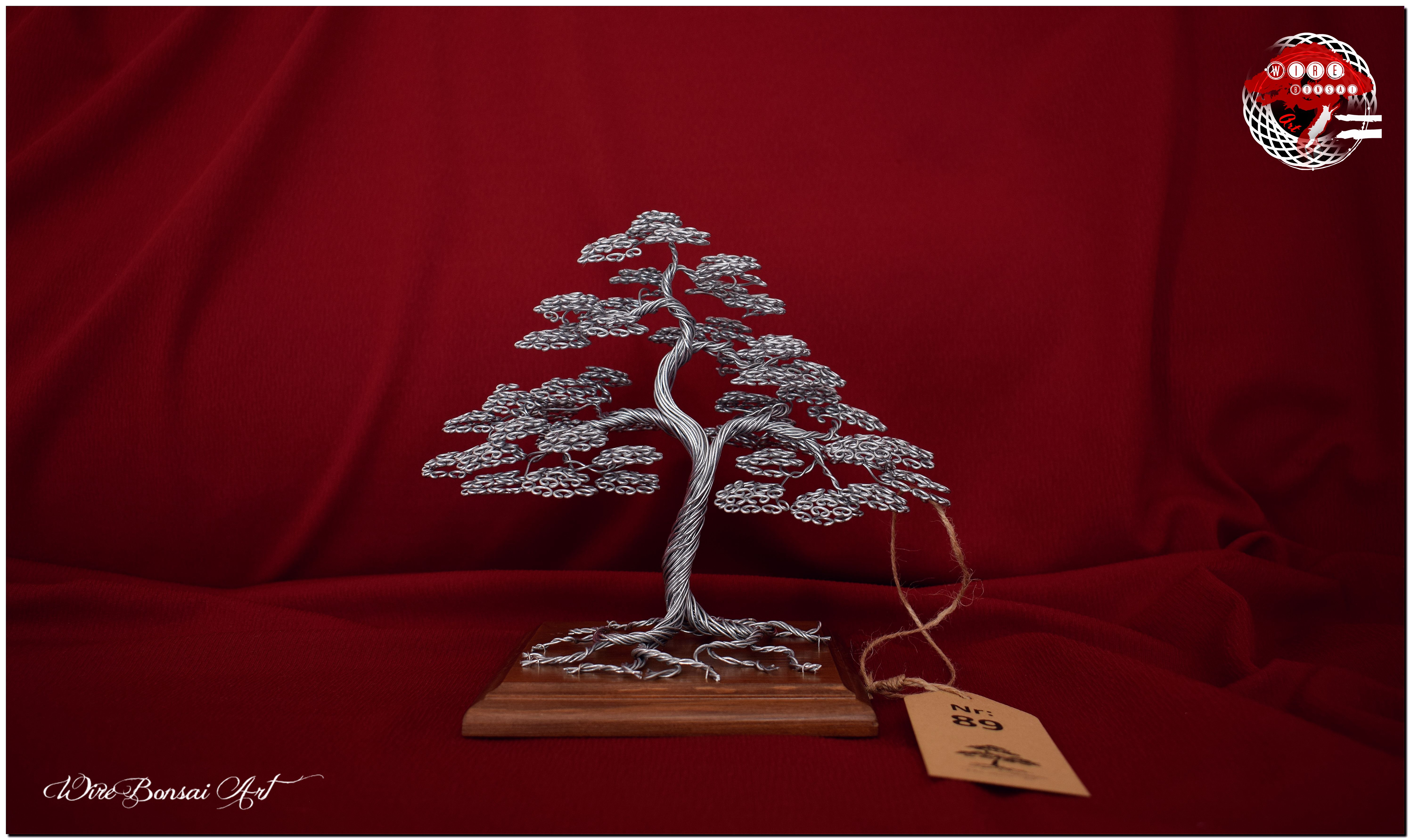 Hand Made Bonsai Wire Tree Sculpture Mother /& Son