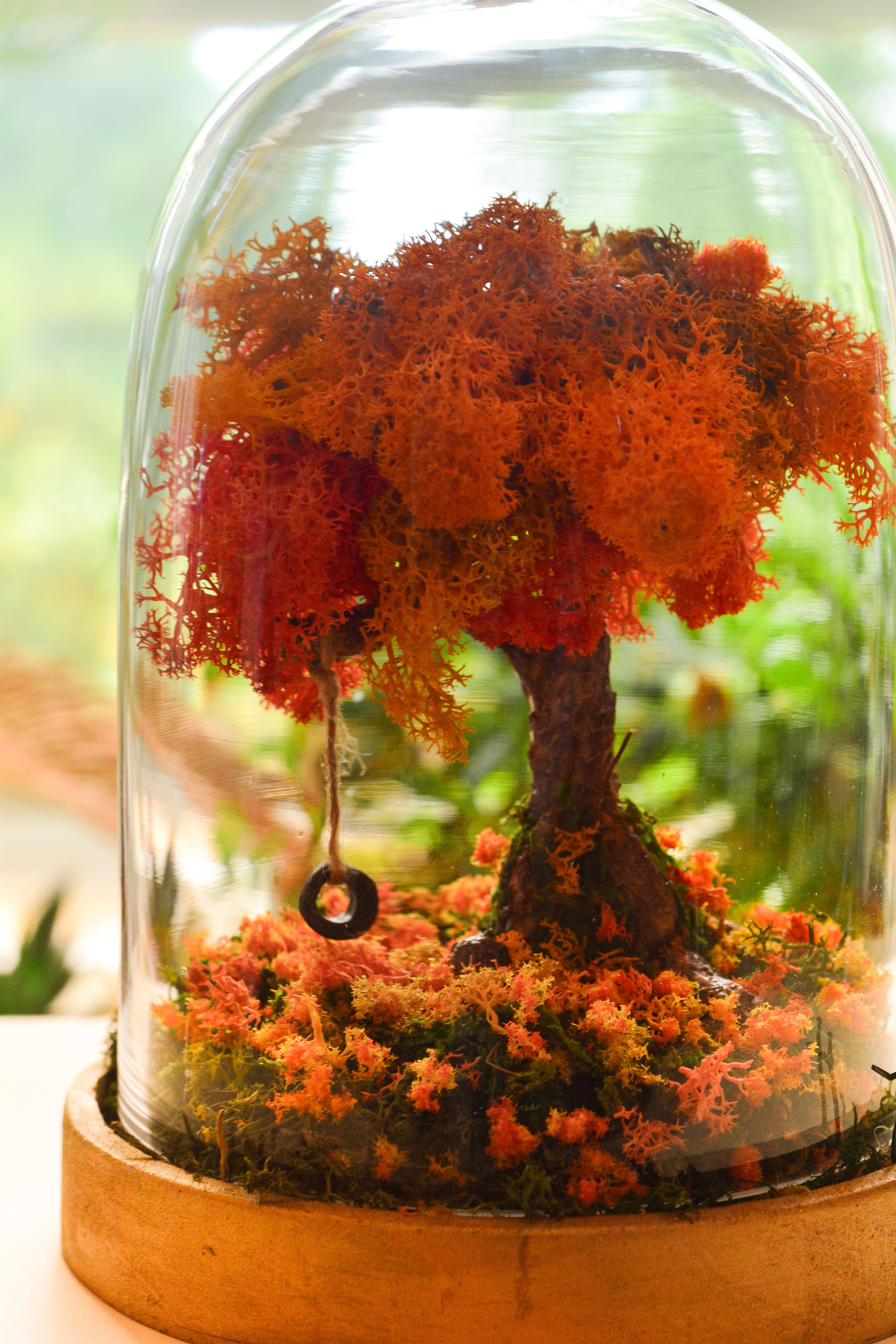 Autumn Terrarium Kit Autumn Decorations Autumn Leaves Fall