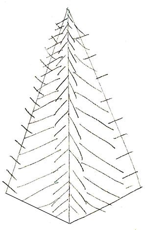 How To Draw Christmas Tree