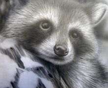 Cutie - a painting in aerographics without frame