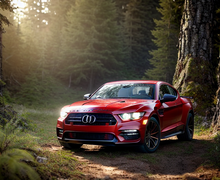 How to make a gift for outdoorsman