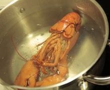 How To Cook Lobster Tail