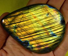 A big labrador cabachon