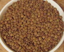 How To Cook Lentils