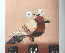 Dove