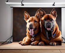 How to make a gift for veterinarian