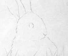 How To Draw A Rabbit