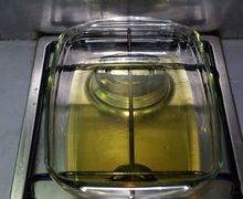 How To Cook Frog Legs