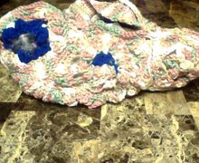 shell's craft corner