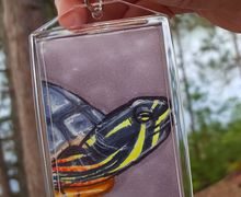 Painter Turtle 2x3 Photo Keychain | Each Copy is Handpainted | Perfect For Reptile Lovers | Back to School Accessory