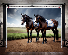 How to make a gift for horse owners