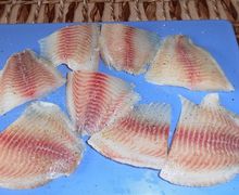 How To Cook Tilapia