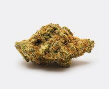 Buy Black Cookies (AAA) Weed Online | Buy from Chronic Store