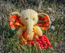 Puff the baby elephant