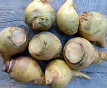 How To Cook A Rutabaga
