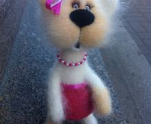 Saint-Pete's cat with a pink bow