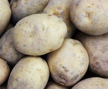 How To Cook Baked Potatoes