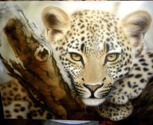 Leopard - a painting in aerographics without frame