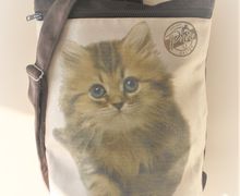 Cute cat pack is perfect gift for cat lovers, Best gift for best friend with best CAT,