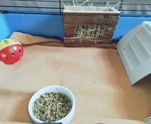 Handmade bespoke Fleece cage liners. For Guineapigs, Rabbits, Rodents and Hedgehogs.