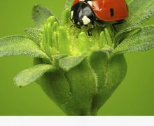 Eco-Friendly EcoStick Wall Graphic | Power Graphics