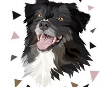 Custom Pet Portrait From Photo
