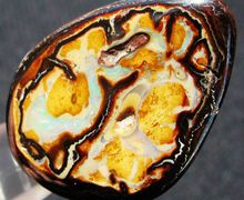 "Yowah" - matrix Australian Boulder opal, 37,00 carat