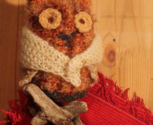Acorn owl