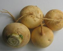 How To Cook Turnips