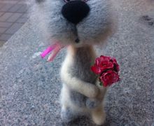 Saint-Pete's cat with a bouquet