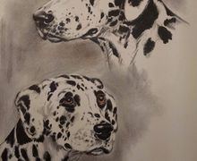 Dalmation-Portrait-by-Diana-Thorne-Original-Vintage-Plate-1944-Animal-Dog-Print