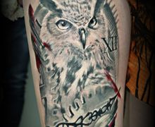 Owl
