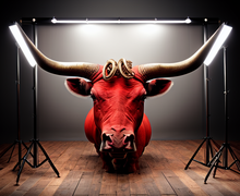 How to make a gift for Taurus