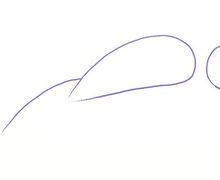 How To Draw A Dolphin