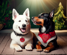 How to make a gift for dog lovers