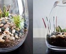 DIY florarium