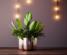 How to make a gift for housewarming gift ideas for women