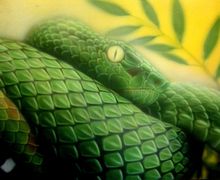 Crocodile - a painting in aerographics without frame