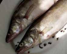 How To Cook Walleye