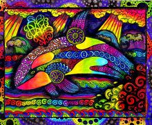 Colors of the Orca
