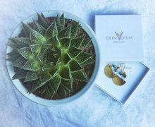 Half moon hammered brass earrings with rainbow beads