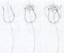 How To Draw Roses