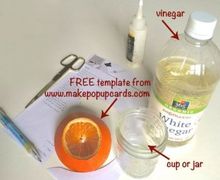 How To Make A Fruit Fly Trap