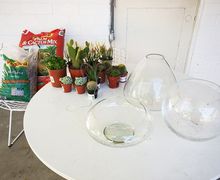 How To Make A Succulent Terrarium