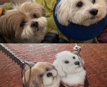 Custom pet jewelry, custom necklace, pet necklace, pet jewelry, pet drawing, custom necklace, custom jewelry, shrink plastic, handdrawn pet art, handdrawn jewelry