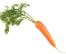 How To Draw A Carrot