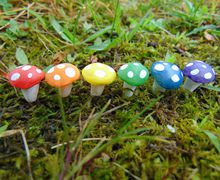 Rainbow Fairy Garden Mushrooms