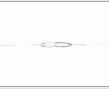 How To Draw A Butterfly