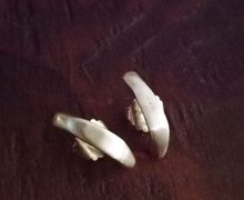 Tribal Elements Sterling Silver Curved "Huggie" Stud Earrings