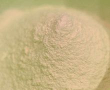 How To Cook Dumplings